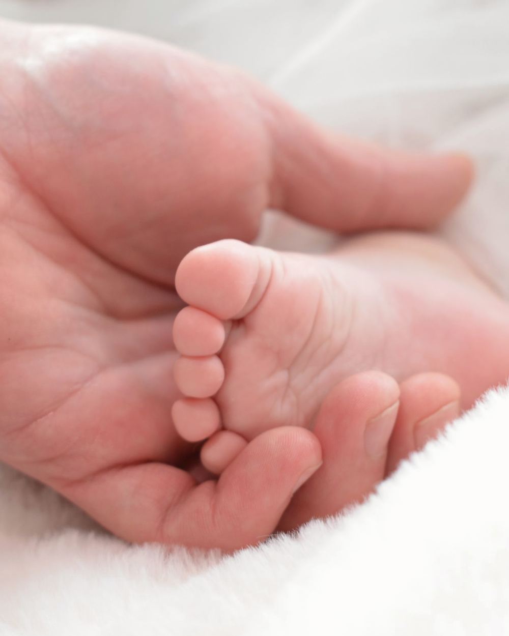 Les petits pieds d'un bébé dans la main d'un parent, image d'ambiance