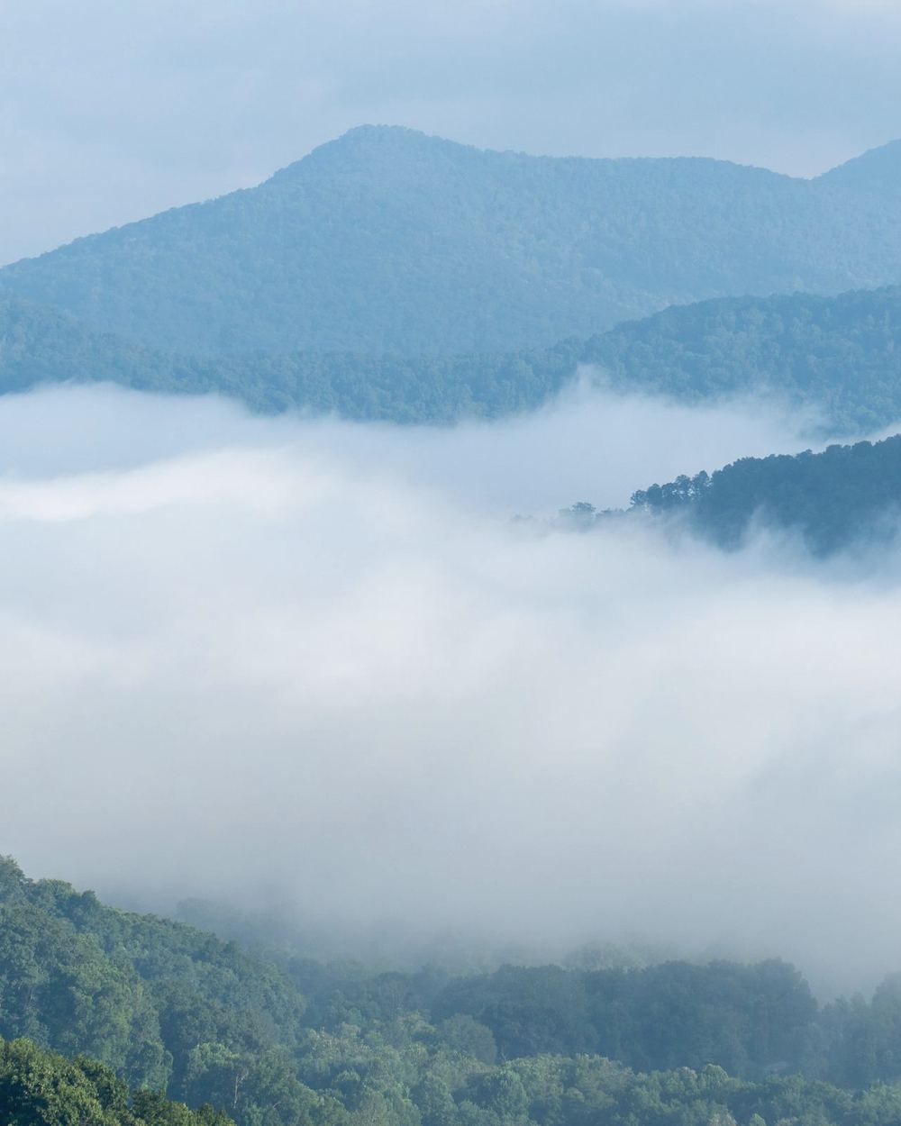 Wooded mountains rising from a sea of mist, mood image