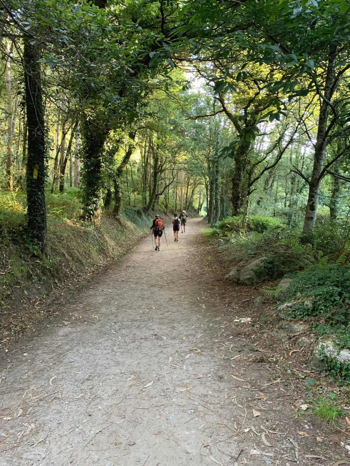 Un sentier de terre sous une voûte d'arbres, quelques marcheurs au loin