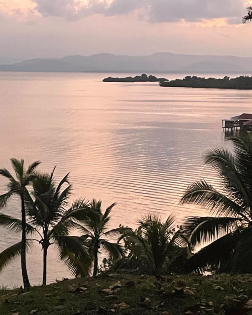 The sea at dusk, palm trees in silhouette and an island in the distance